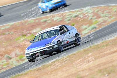 media/May-06-2023-Lucky Dog Racing (Sat) [[8f2256f436]]/Turn 2 10a/